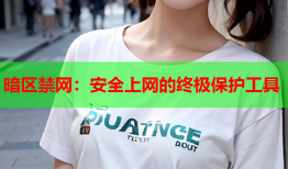 暗区禁网：安全上网的终极保护工具
