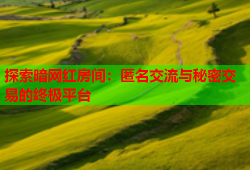 探索暗网红房间：匿名交流与秘密交易的终极平台