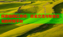 探索暗网红房间：匿名交流与秘密交易的终极平台