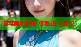 暗网禁地探秘 你敢进入吗(2)