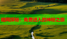 暗网探秘：免费进入的神秘之旅