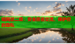 暗网禁二级：安全匿名交流，保护你的隐私