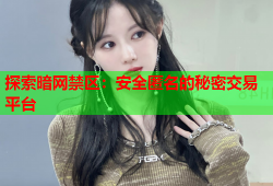 探索暗网禁区：安全匿名的秘密交易平台