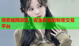 探索暗网禁区：安全匿名的秘密交易平台