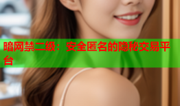 暗网禁二级：安全匿名的隐秘交易平台