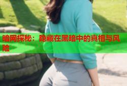 暗网探秘：隐藏在黑暗中的真相与风险