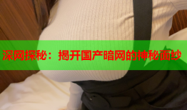 深网探秘：揭开国产暗网的神秘面纱