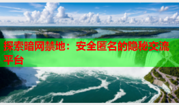 探索暗网禁地：安全匿名的隐秘交流平台
