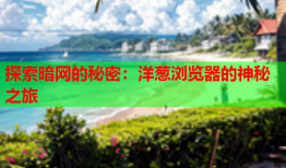 探索暗网的秘密：洋葱浏览器的神秘之旅