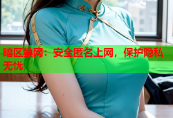 暗区禁网：安全匿名上网，保护隐私无忧