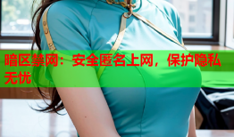 暗区禁网：安全匿名上网，保护隐私无忧