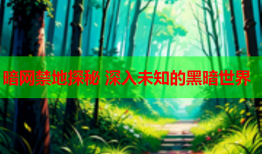 暗网禁地探秘 深入未知的黑暗世界