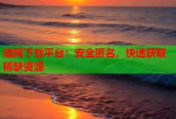 暗网下载平台：安全匿名，快速获取稀缺资源