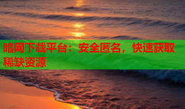 暗网下载平台：安全匿名，快速获取稀缺资源