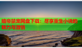 暗帝禁宠网盘下载：尽享重生小说的魅力与激情