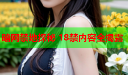 暗网禁地探秘 18禁内容全揭露