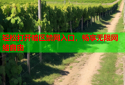 轻松打开暗区禁网入口，畅享无限网络自由