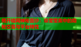 揭开暗网神秘面纱：章莹莹案中的隐秘交易与平台特性