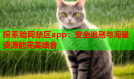 探索暗网禁区app：安全追剧与海量资源的完美结合