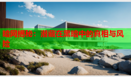 暗网揭秘：潜藏在黑暗中的真相与风险