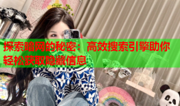 探索暗网的秘密：高效搜索引擎助你轻松获取隐藏信息