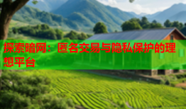 探索暗网：匿名交易与隐私保护的理想平台