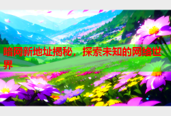暗网新地址揭秘，探索未知的网络世界