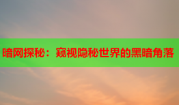 暗网探秘：窥视隐秘世界的黑暗角落