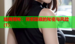 暗网揭秘：探索隐藏的秘密与风险(1)