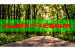 暗网禁地探秘 你不知道的黑暗真相