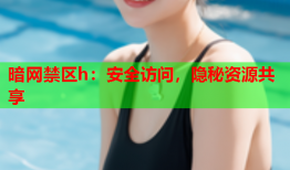 暗网禁区h：安全访问，隐秘资源共享