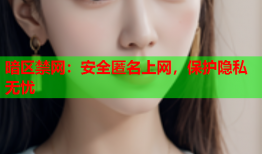 暗区禁网：安全匿名上网，保护隐私无忧