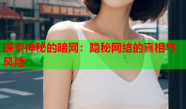 探索神秘的暗网：隐秘网络的真相与风险