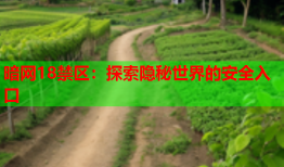 暗网18禁区：探索隐秘世界的安全入口