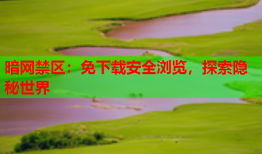 暗网禁区：免下载安全浏览，探索隐秘世界