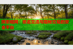 探索暗网：匿名交流与隐秘交易的安全平台