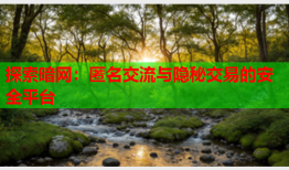 探索暗网：匿名交流与隐秘交易的安全平台