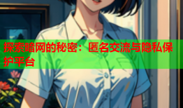探索暗网的秘密：匿名交流与隐私保护平台