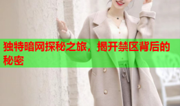 独特暗网探秘之旅，揭开禁区背后的秘密