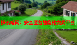 探索暗网：安全匿名的隐秘交易平台