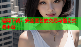 暗网下裁：安全匿名的交易与信息交流平台