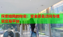 探索暗网的秘密：安全匿名访问与信息交易平台