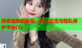 探索暗网的秘密：匿名交流与隐私保护平台(1)