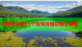 暗网揭示的15个惊悚真相你敢了解吗
