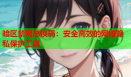 暗区禁网总换码：安全高效的网络隐私保护工具