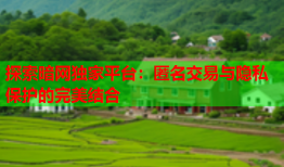 探索暗网独家平台：匿名交易与隐私保护的完美结合