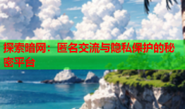 探索暗网：匿名交流与隐私保护的秘密平台