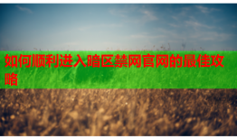 如何顺利进入暗区禁网官网的最佳攻略