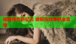 暗网探索新纪元 破解在线导航全攻略