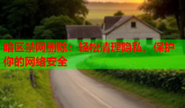 暗区禁网删除：轻松清理隐私，保护你的网络安全